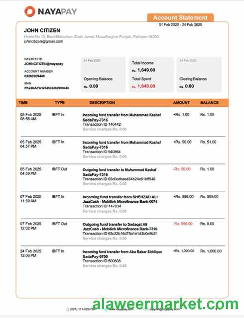 Pakistan NayaPay account statement Word and PDF template